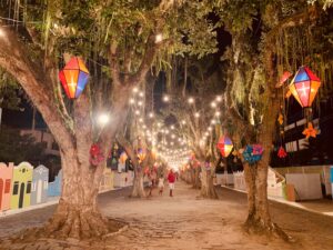 Decoração do Cidade Jardim Festival deixa moradores de São Gonçalo dos Campos e turistas encantados